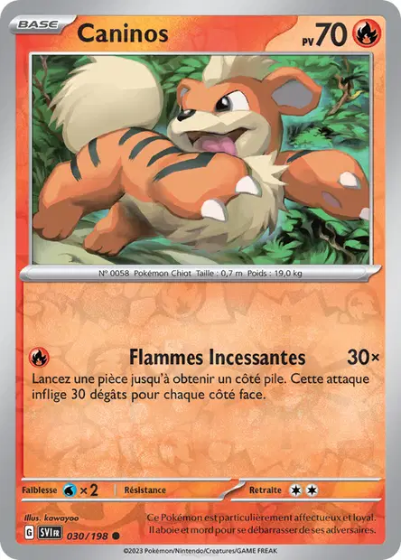 Caninos Reverse